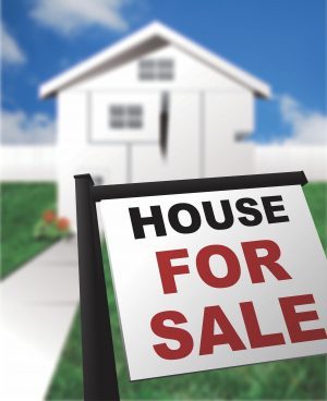 real estate agent